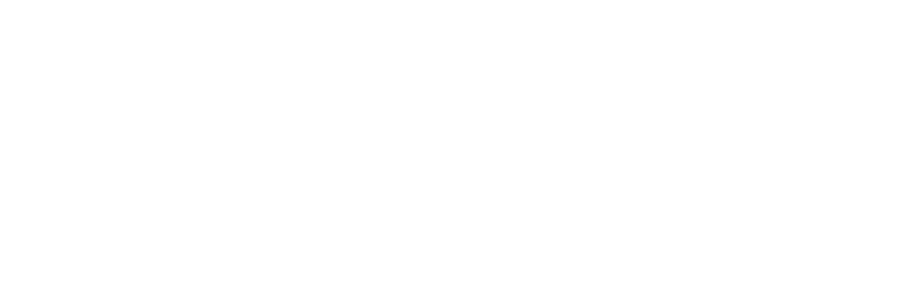 Fusion Bionic logo